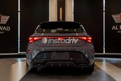 كوبرا ليون 2026 رمادي جديدة للبيع - 8