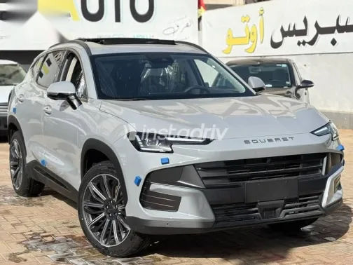 Soueast S 06 2026 Gray New for Sale - 3