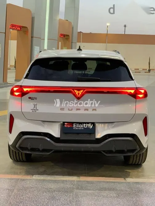 كوبرا تيرامار 2025 أبيض جديدة للبيع - 4