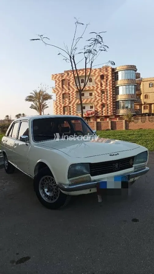 بيجو 504 1979 بيج مستعملة للبيع - 6