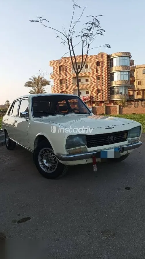 بيجو 504 1979 بيج مستعملة للبيع - 8