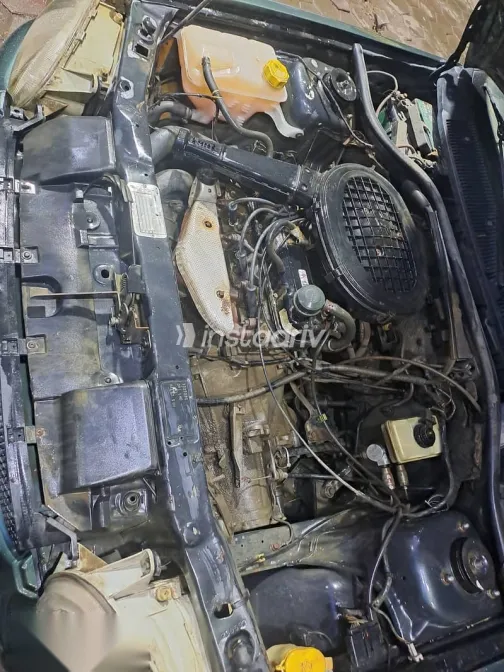 فورد اسكورت 1998 أخضر مستعملة للبيع - 2