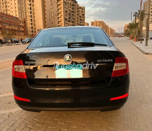 سكودا اوكتافيا A7 2016 أبيض مستعملة للبيع - 6