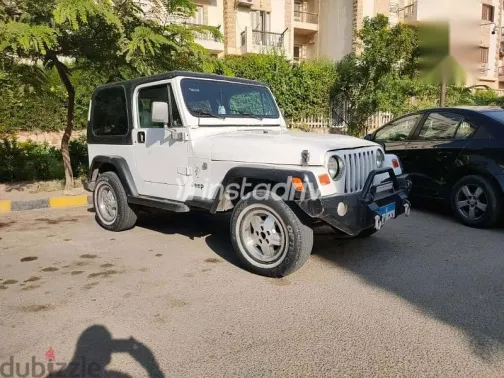 Jeep Wrangler 1995 White Used for Sale - 1
