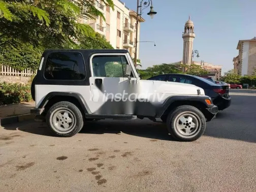 Jeep Wrangler 1995 White Used for Sale - 2