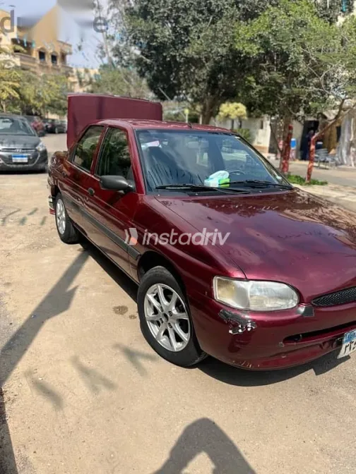 Ford Escort 1998 Burgundy Used for Sale - 4