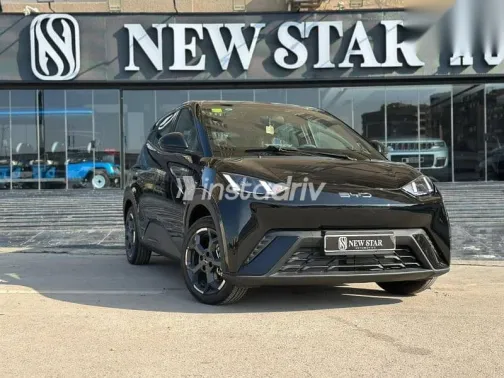 بى واى دى‬ سيجال 2025 أسود جديدة للبيع - 1