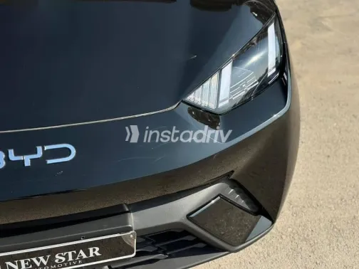 بى واى دى‬ سيجال 2025 أسود جديدة للبيع - 3