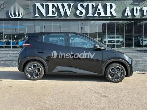 بى واى دى‬ سيجال 2025 أسود جديدة للبيع - 5