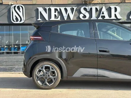 بى واى دى‬ سيجال 2025 أسود جديدة للبيع - 6