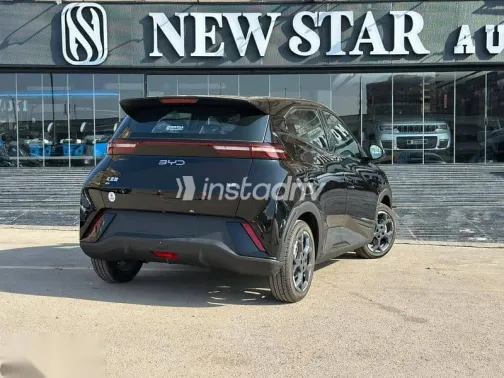 بى واى دى‬ سيجال 2025 أسود جديدة للبيع - 8