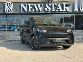 بى واى دى‬ سيجال 2025 أسود جديدة للبيع