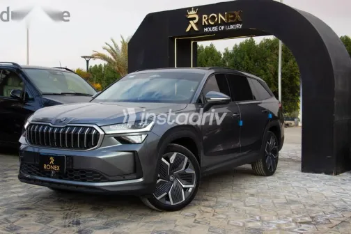 سكودا كودياك 2025 رمادي مستعملة للبيع - 3