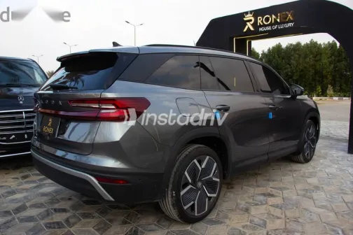 سكودا كودياك 2025 رمادي مستعملة للبيع - 8