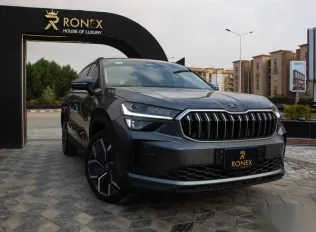 Skoda Kodiaq 2025 Gray Used for Sale