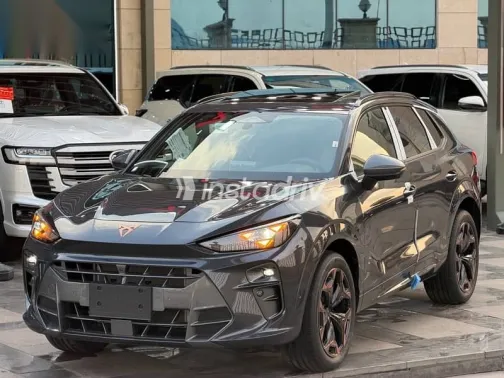 Cupra Terramar 2026 Gray New for Sale - 4