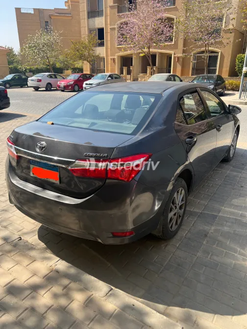 Toyota Corolla 2016 White Used for Sale - 1