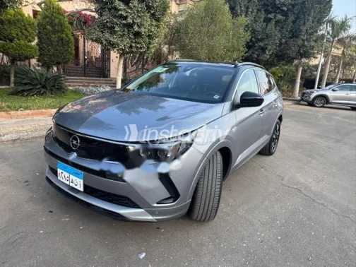 اوبل جراند لاند 2024 رمادي مستعملة للبيع - 2