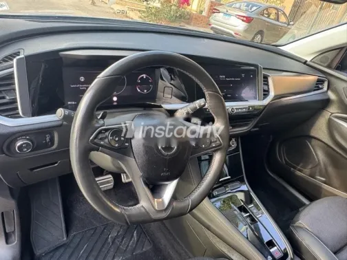 اوبل جراند لاند 2024 رمادي مستعملة للبيع - 4