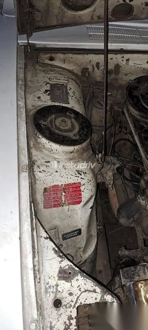 بيجو 504 1983 أبيض مستعملة للبيع - 4