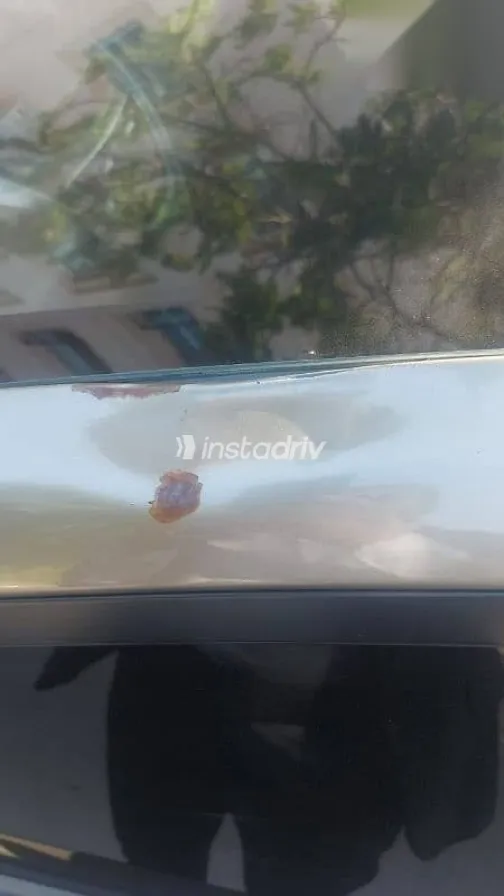 Hyundai Elantra 2013 Brown Used for Sale - 6