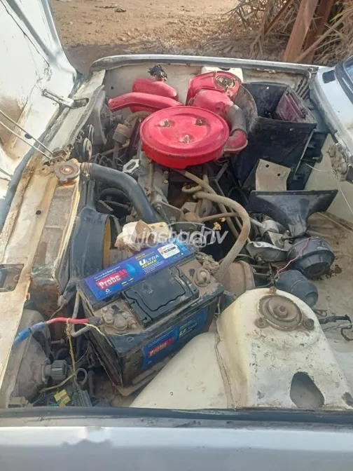 فيات 128 1981 أبيض مستعملة للبيع - 4