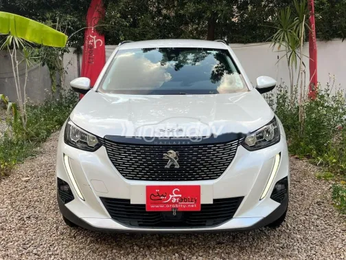 بيجو 2008 2021 أبيض مستعملة للبيع - 2