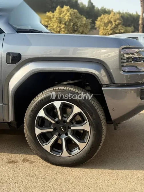 بى واى دى‬ ليوبارد 5 2025 فضي جديدة للبيع - 2