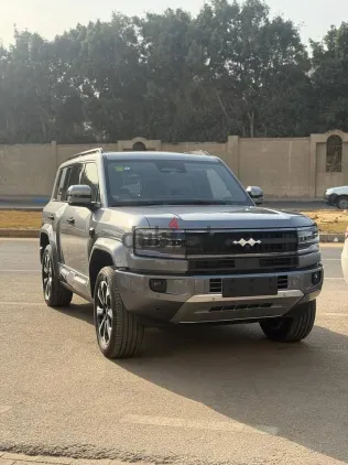 بى واى دى‬ ليوبارد 5 2025 فضي جديدة للبيع