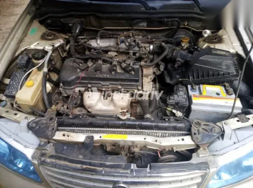 نيسان صنى 2009 ذهبي مستعملة للبيع - 6