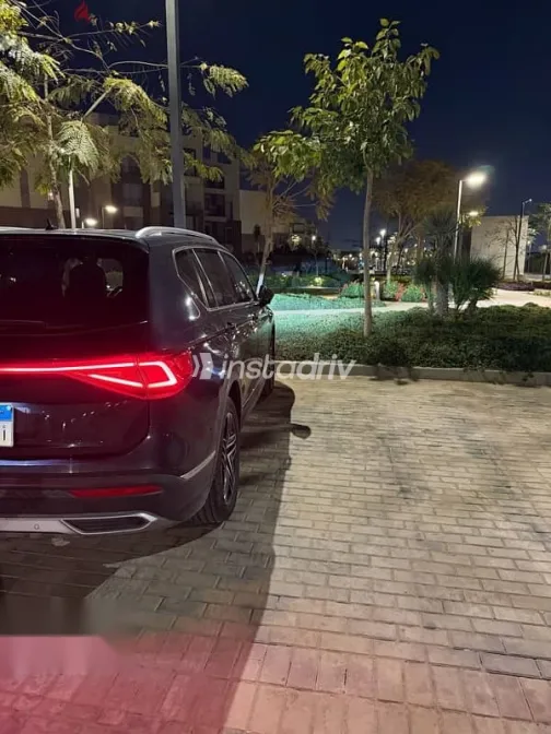 سيات تاراكو 2021 أخضر مستعملة للبيع - 2