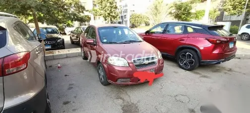 شيفروليه افيو 2013 نبيتي مستعملة للبيع - 9