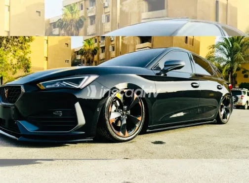 كوبرا ليون 2024 أبيض مستعملة للبيع - 4