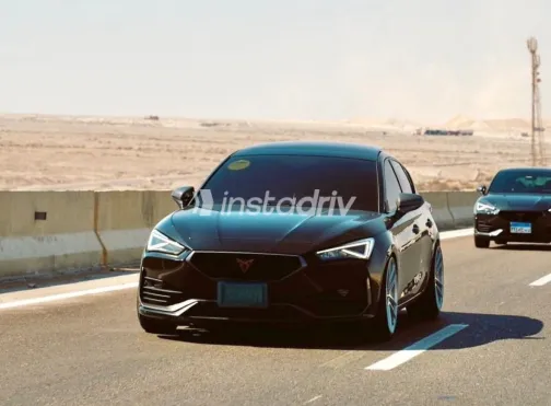 كوبرا ليون 2024 أبيض مستعملة للبيع - 9