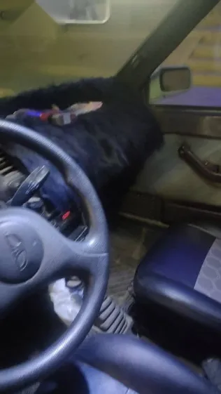 فيات ريجاتا 1989 أبيض مستعملة للبيع