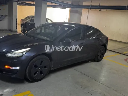 Tesla Model 3 2023 Gray Used for Sale - 1
