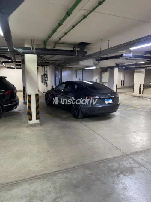 Tesla Model 3 2023 Gray Used for Sale - 2