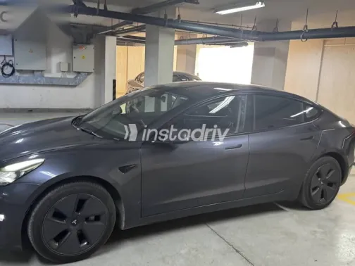 Tesla Model 3 2023 Gray Used for Sale - 4