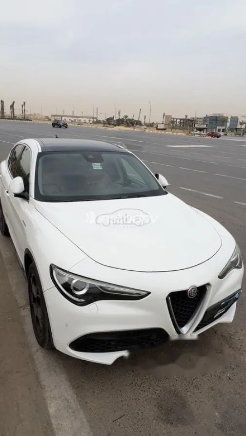 الفاروميو ستلفيو 2021 أبيض مستعملة للبيع - 2