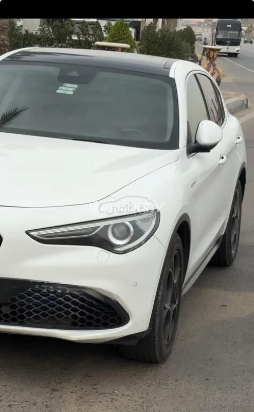 الفاروميو ستلفيو 2021 أبيض مستعملة للبيع - 3