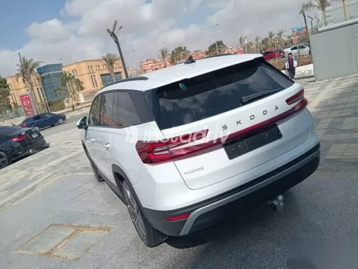 سكودا كودياك 2025 أبيض جديدة للبيع - 3