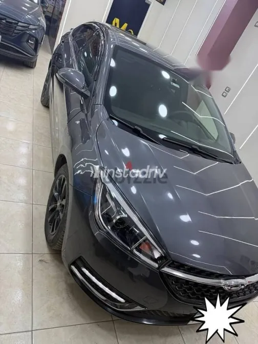 Chery Arrizo 3 2025 Gray Used for Sale - 6