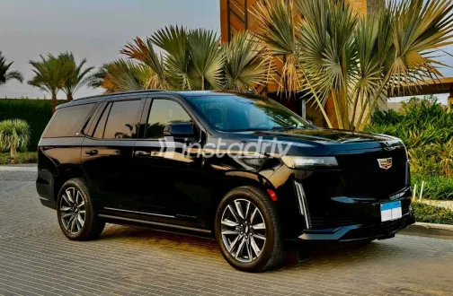 Cadillac Escalade 2023 White Used for Sale - 1