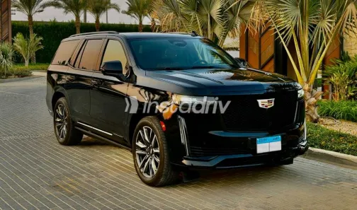 Cadillac Escalade 2023 White Used for Sale - 3