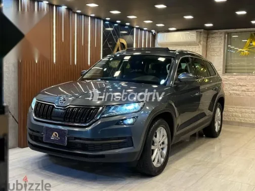 سكودا كودياك 2019 رمادي مستعملة للبيع - 4