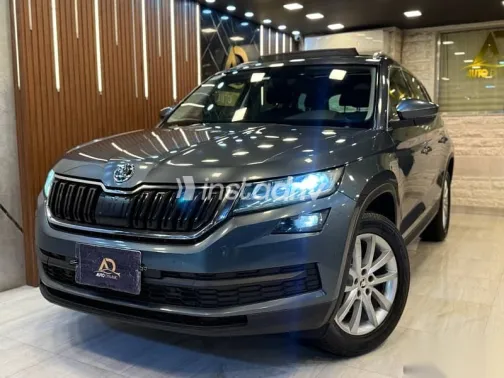 سكودا كودياك 2019 رمادي مستعملة للبيع - 7
