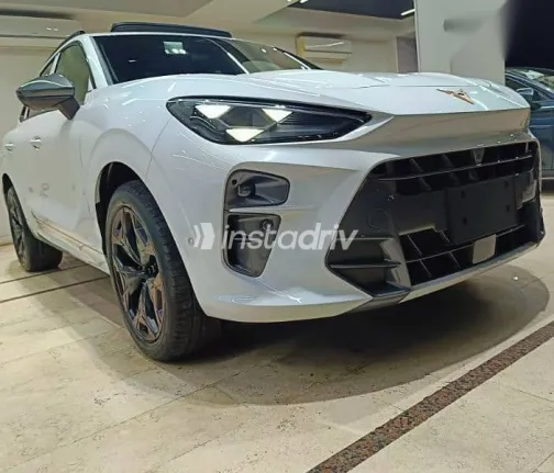 كوبرا تيرامار 2026 أبيض جديدة للبيع - 3