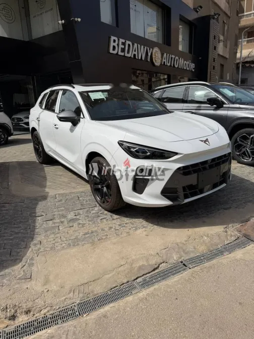 كوبرا تيرامار 2026 أبيض جديدة للبيع - 2