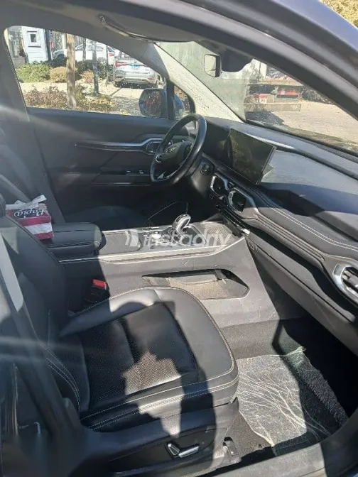 جيلي اوكافانجو 2024 رمادي مستعملة للبيع - 10