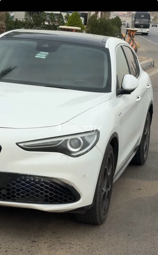 الفاروميو ستلفيو 2021 أبيض مستعملة للبيع - 5